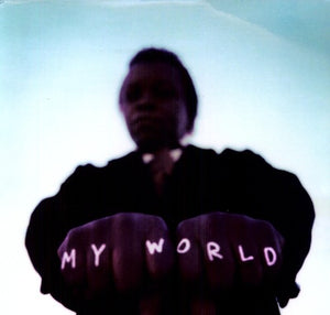 LEE FIELDS & THE EXPRESSIONS^LEE FIELDS | MY WORLD