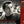 JOHN RINGER^FRITZ WUNDERLICH | PERSEPHONE