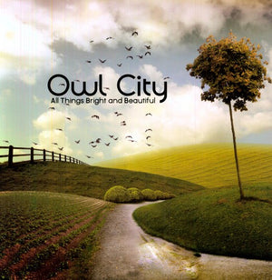 OWL CITY | ALL THINGS BRIGHT & BEAUTIFUL
