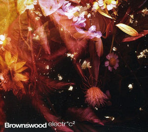 VARIOUS ARTISTS | BROWNSWOOD ELECTRIC 2 / VARIOUS