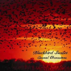 BLACKBIRD SUNSET | CASUAL OBSESSIONS