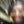 EARL SWEATSHIRT | SOME RAP SONGS (VINYL)