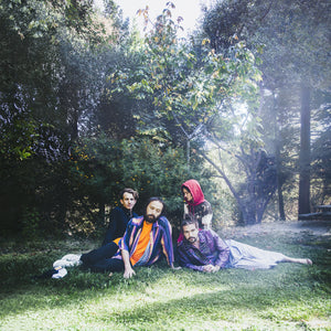 BIG THIEF | UFOF (VINYL)