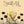 SNAIL MAIL | VALENTINE DEMOS EP (VINYL)