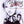 CHASING AMY-COLLECTORS EDITION