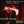 ORCHESTRA OF THE SWAN & KENNETH WOODS^KENNETH WOODS | SYMPHONY NO. 4 / SYMPHONY NO. 2