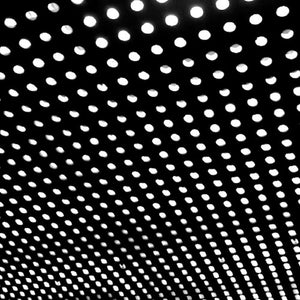 BEACH HOUSE | BLOOM