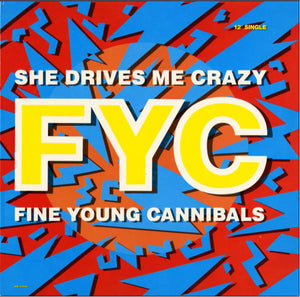FINE YOUNG CANNIBALS | SHE DRIVES ME CRAZY - 12 - PICTURE SLEEVE