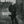 ELVIS COSTELLO | NORTH