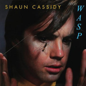 SHAUN CASSIDY | WASP