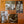 STAN GETZ / VARIOUS | TENORS ANYONE
