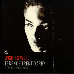 TERENCE TRENT D'ARBY | WISHING WELL - 12