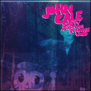 JOHN CALE | SHIFTY ADVENTURES IN NOOKIE WOOD