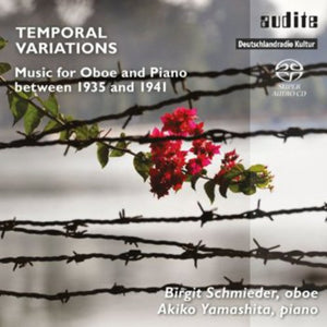 BIRGIT SCHMIEDER | TEMPORAL VARIATIONS