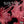 SEETHER | DISCLAIMER 2