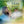 LEO ROJAS | FLYING HEART