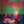 HEATWAVE | CANDLES