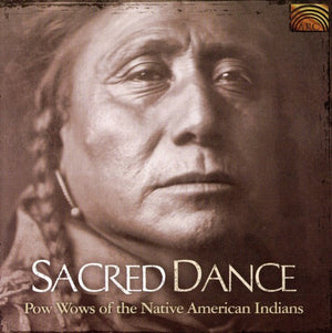 VARIOUS ARTISTS | POW WOWS OF NATIVE AMERICANS INDIANS / VARIOUS