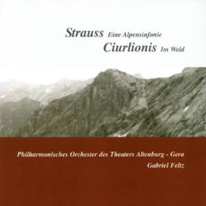 GABRIEL FELTZ | AN ALPINE SYMPHONY / MISKE