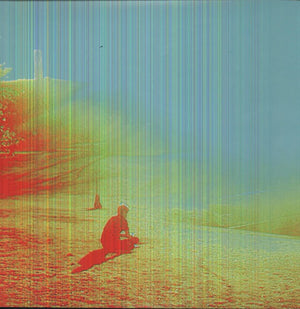 THE FLAMING LIPS | TERROR