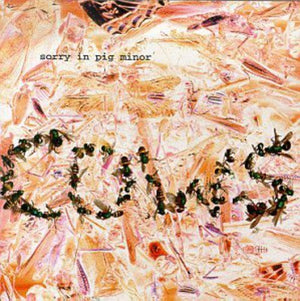 THE COWS | SORRY IN PIG MINOR