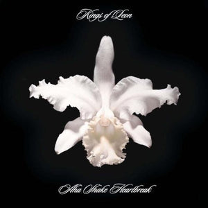 KINGS OF LEON | AHA SHAKE HEARTBREAK