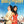 MOVIE CO | BRIDE AND PREJUDICE