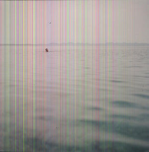 BLUE CRANES | SWIM