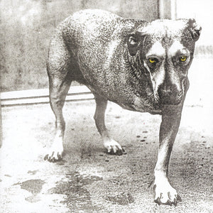 ALICE IN CHAINS | ALICE IN CHAINS AKA THREE LEGGED DOG