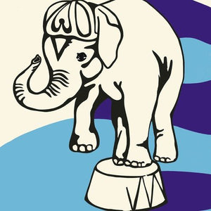 JEFF MANGUM | LIVE AT JITTERY JOE'S