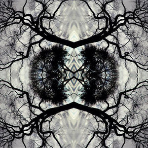 ADAM RUDOLPH | SONIC MANDALA GO: ORGANIC ORCHESTRA