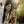 LEO ROJAS | ALBATROSS