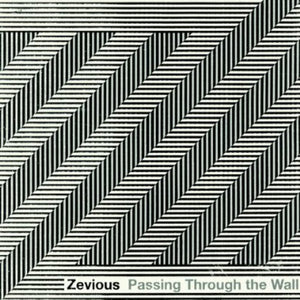 ZEVIOUS | PASSING THROUGH THE WALL