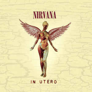 NIRVANA | IN UTERO (20TH ANNIVERSARY EDITION)