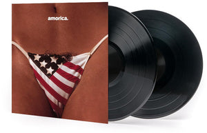 THE BLACK CROWES | AMORICA