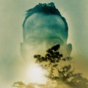 DUQUETTE JOHNSTON | RABBIT RUNS A DESTINY