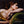 MADELEINE PEYROUX | HALF THE PERFECT WORLD