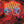 CLIMAX BLUES BAND | SENSE OF DIRECTION