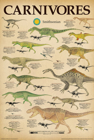 DINOSAURS CARNIVORES POSTER SMITHSONIAN 14