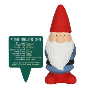 WEATHER FORCASTING GNOME FIGURINE ASSORTED GARDEN (SINGLE)