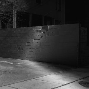 PRESTON LOVINGGOOD | SHADOW SONGS