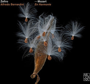 CLASSICAL KIDS^MOZART | EN HARMONIE