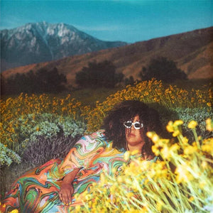 BRITTANY HOWARD | WHAT NOW (VINYL)