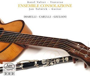 | MUSIC TRAVERSO GUITAR