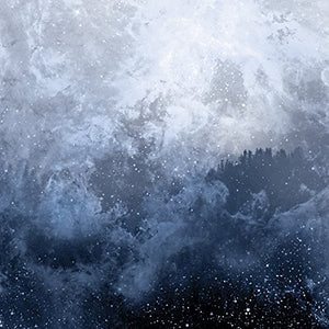 WOLVES IN THE THRONE ROOM | CELESTITE