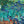 VAN GOGH LES IRISES POSTER 14