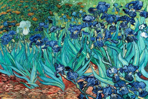 VAN GOGH LES IRISES POSTER 14