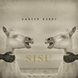 DARIUS KOSKI | SISU