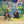 CHAD STUART / JEREMY CLYDE | OF CABBAGES AND KINGS - US
