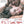 MOVIE DR | PS I LOVE YOU